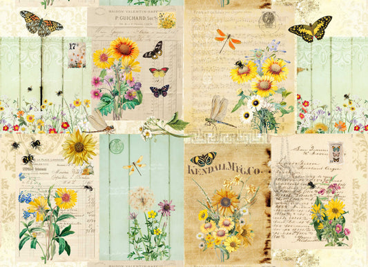 Botanical Masterboard Roycycled Tissue Paper