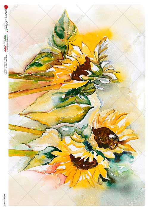 Sunflowers Watercolors Decoupage Paper