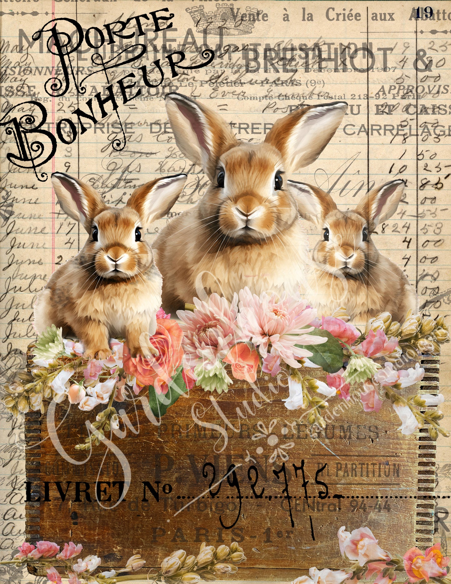 Bunnies in a box download